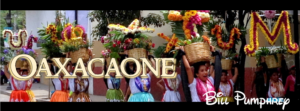 Oaxacaone.com Home Page